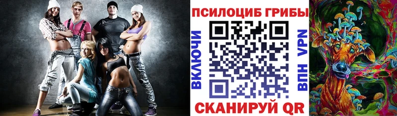 Купить  Бавлы  Галлюциногенные грибы Psilocybine cubensis 